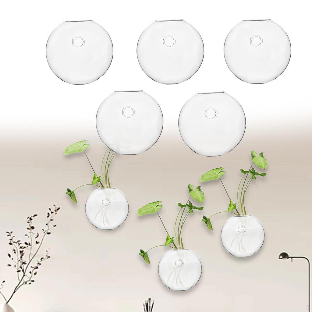 5 stück Blume Terrarium Hydrokultur Vase Kleine Decor Haken Wand Haken Pflanzer für Kaffee