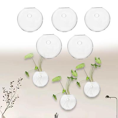 5 Pieces Flower Terrarium Hydroponic Vase Small Decor Hooked Wall Hooks Planter for Coffee