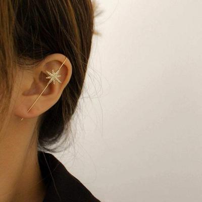 Summer Fashion Earrings, Hook Piercings, Modern Style Accessories
