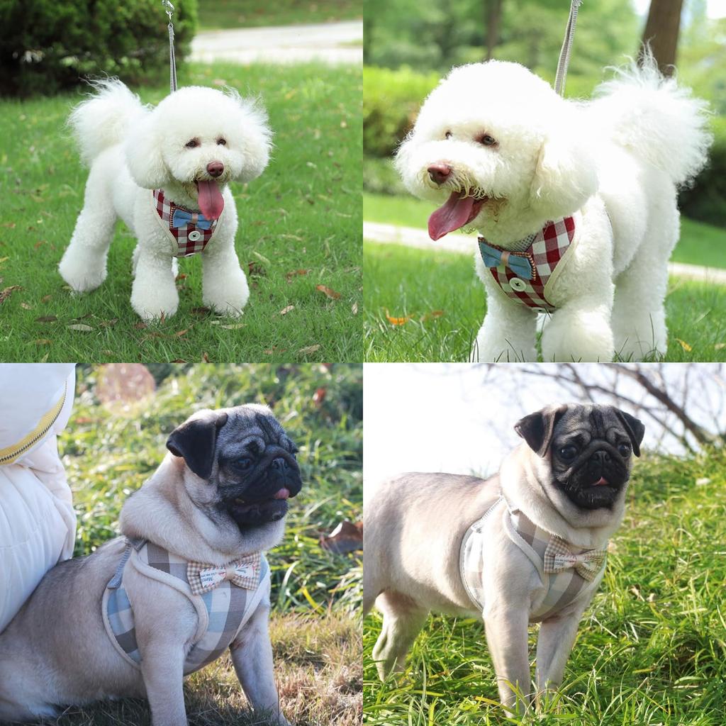 DICOCO Dog Harness for Small Reduces Adjustable Stays In Easy To Put On and Take Cute Bowknot Triple Machine Dolly M Dogs, Anti-Pulling, Head-Free,