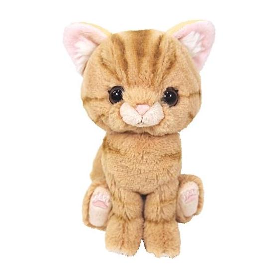 Sun Lemon Kitten American Shorthair Brown 14.9 x 16.3 x 7.2cm Stuffed Animal Cat P-7531