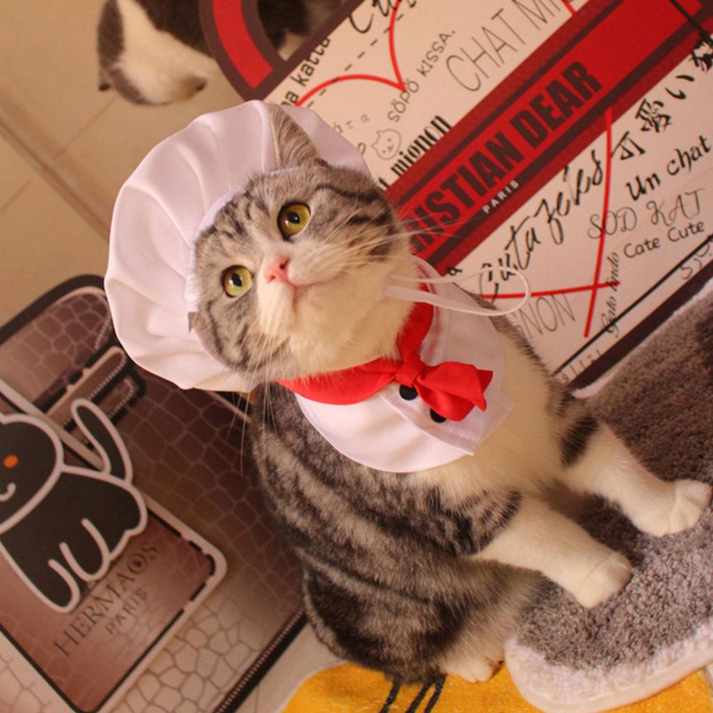 Dog Halloween Costumes Chef Hat and Cloak Suit Small Dog Cosplay Puppy Chef for Halloween Parties and Photo Shoots