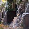 -Stretchable Spider Webs With 2 Spiders Each,Party Supplies Halloween Cobweb Decorations For Haunted Houses, Room And Home Decor