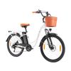 TTGO YY-26ST Elektrofahrrad für Erwachsene 250W Herren Stadt-Elektrofahrrad 36V14.5AH Akku, 26 Zoll Damen-Elektrofahrrad