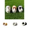 Realistic Animal Model Toy For Kids Tiny Furry Hamster, Guinea Pig And More!