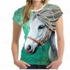 Animal Printed Clothes for Summer, 3D Printed Girls' Short Sleeved Tops, Women's T-shirts, and T-shirts