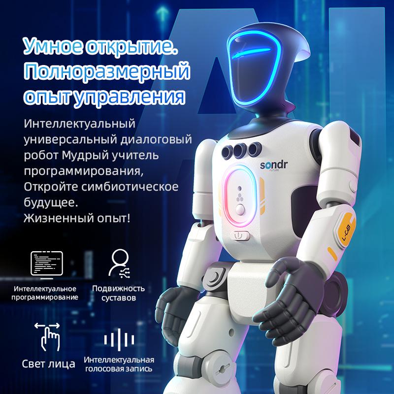 Russian Smart Humanoid Robot Toy with Gesture Control and Programmable Lighting