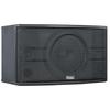 Runpu RP-TG508 10-inch Conference Speaker (CN Version)