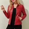 European and American Style Slim-fitting Short Stand-up Collar PU Leather Jacket Women's Locomotive Jacket Fashion Versatile Spring and Autumn Coat