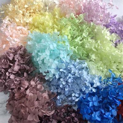 5 ~ 5,5 g/Menge, natürliche, frische, konservierte Blumen, getrocknete kleine Blätter, Hortensien-Blütenköpfe für DIY-Material aus echten Blumen für das ewige Leben