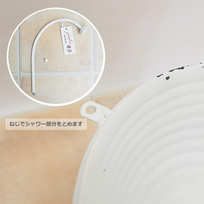 Plato de Ducha Blanco 7061