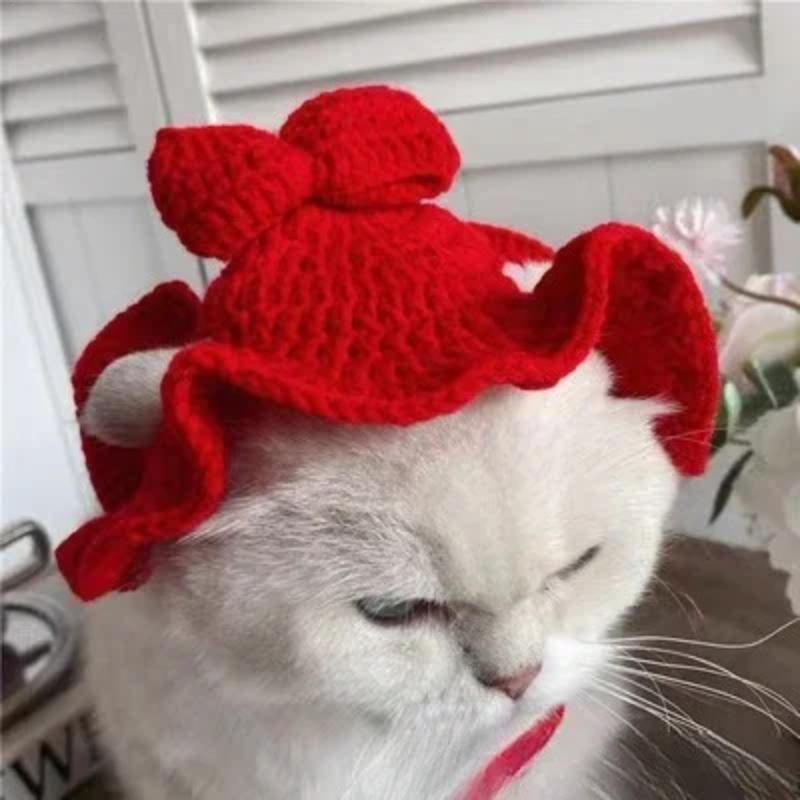Simpatico Raffinato Cappello da Gatto Elastico Autunno Inverno Cappello per Animali Domestici Cuccioli Gattini Cappello Lavorato a Maglia Accessori per Gatti Decorazione Oggetti di Scena per Feste Servizio Fotografico