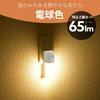 Ohm Electric Footlight Sensor Night Light Bulb Color Footlight Outlet Type AC Powered White Light/Dark NIT-ALA6MCL2-WL 06-5153