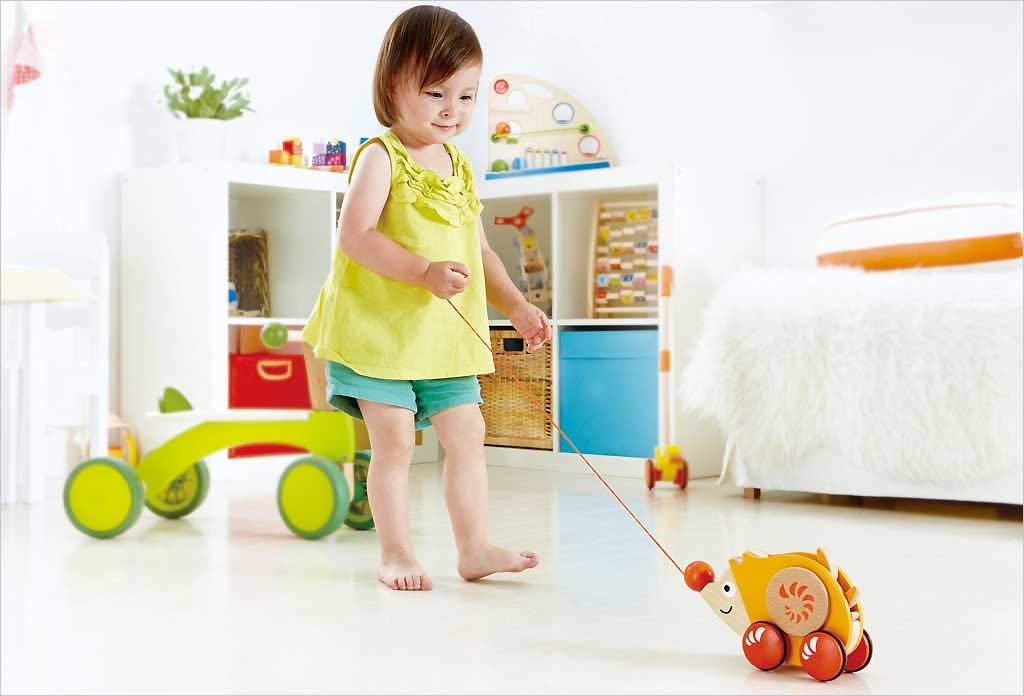 Hape Walk a Long Hedgehog E0350