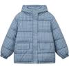 Stand-up Collar Hooded Plaid Cotton Clothes Women's Winter New Retro Warm Sweet Bread Clothes Jacket