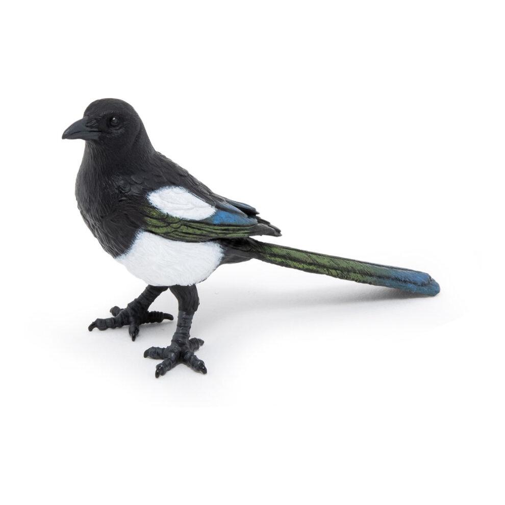 Lifelike Crow Bird Model Pvc Material Educational Toy Bird Figurine Non-assembly 3c Certified