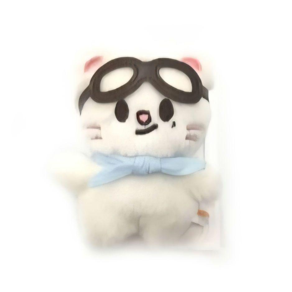 

[Б/У] Мягкая игрушка Stray Kids Pilot