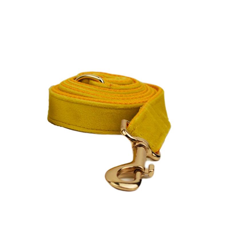 Pet collar, dog leash, dog collar, yellow velvet.