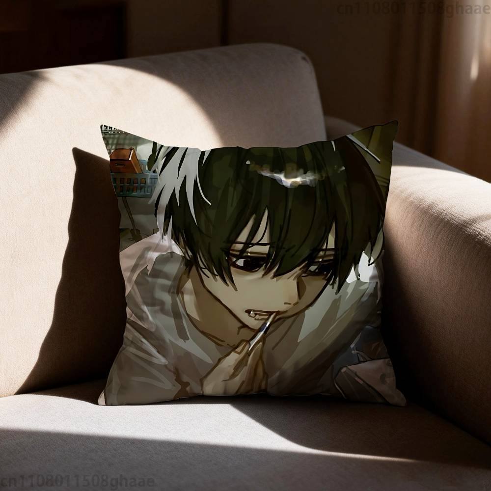 Zeno Remake Anime Pillow Case Sofa Living Room Bedroom Headboard Backrest Cushion Square Cushion Nap Time