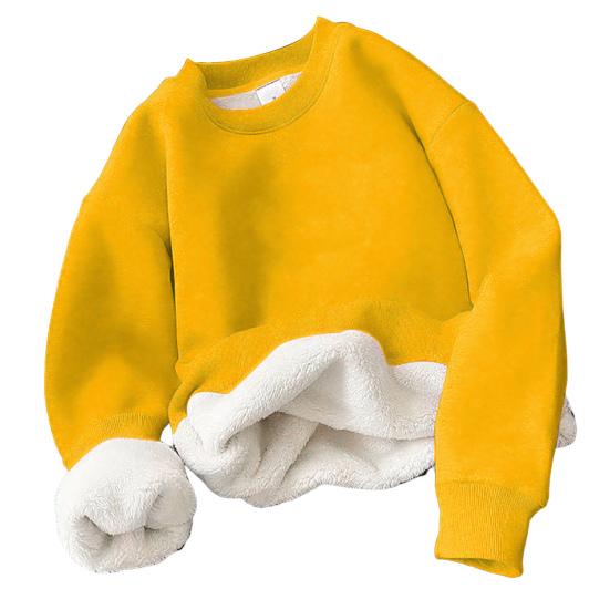 Men Sweatshirt Windproof Anti-wrinkle Breathable Fadeless Round Neck Thicken Fleece Autumn Pullover Outdoor Clothing