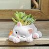 Cute Cat Succulent Flowerpot Balcony Green Plants Living Room Home Office Desktop Potted Plant Home Decoration