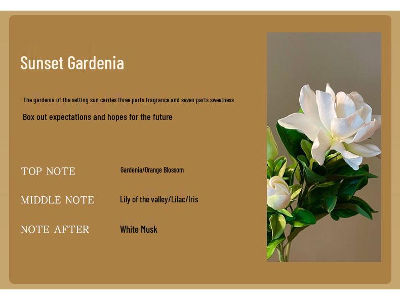 Coconut Shell Scented Candle Gift Box - Creative Bedroom Fragrance Souvenir