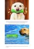 Squeaky Dog Chew Toy & Toothbrush Stick
