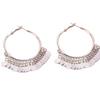 Exaggerated Design Multi-layer Metal Disc Fringed Earrings Earrings Temperament Cold Wind Earrings