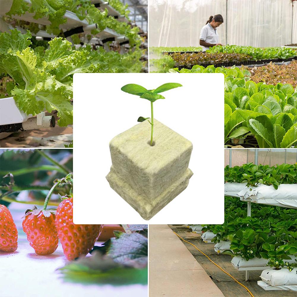 100pcs Rock Wool Planting Cubes Multipurpose Hydroponics Seed Seedling Grow Block Strong Water Absorption for Plant Propagation