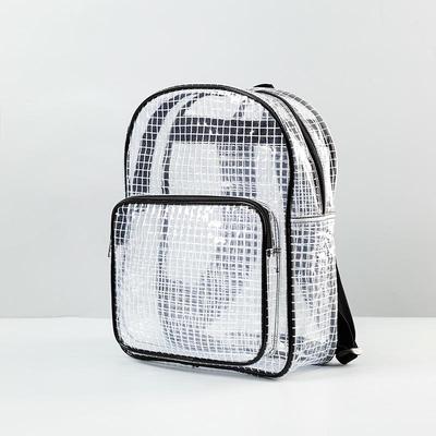 17-Inch Black Transparent Antistatic PVC Dust-Free Backpack, Lightweight & Spacious, Unisex