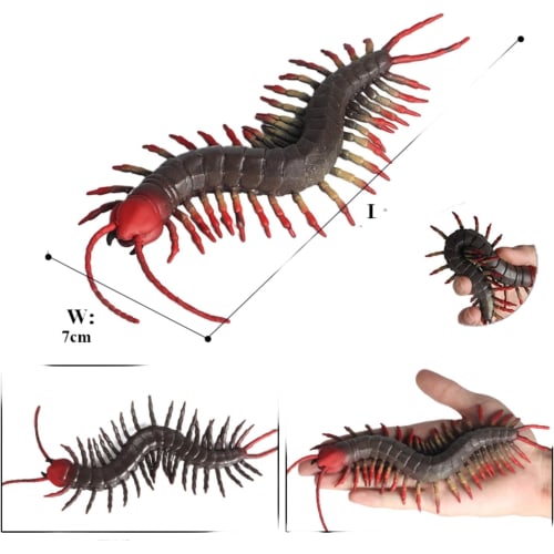 MAIBED Centipede Figure, Centipede Model, Chilopoda, Toy, Stress Reliever, Arthropod, Plastic Model, Realistic, TPR Material, Decorative Ornament, OpJ