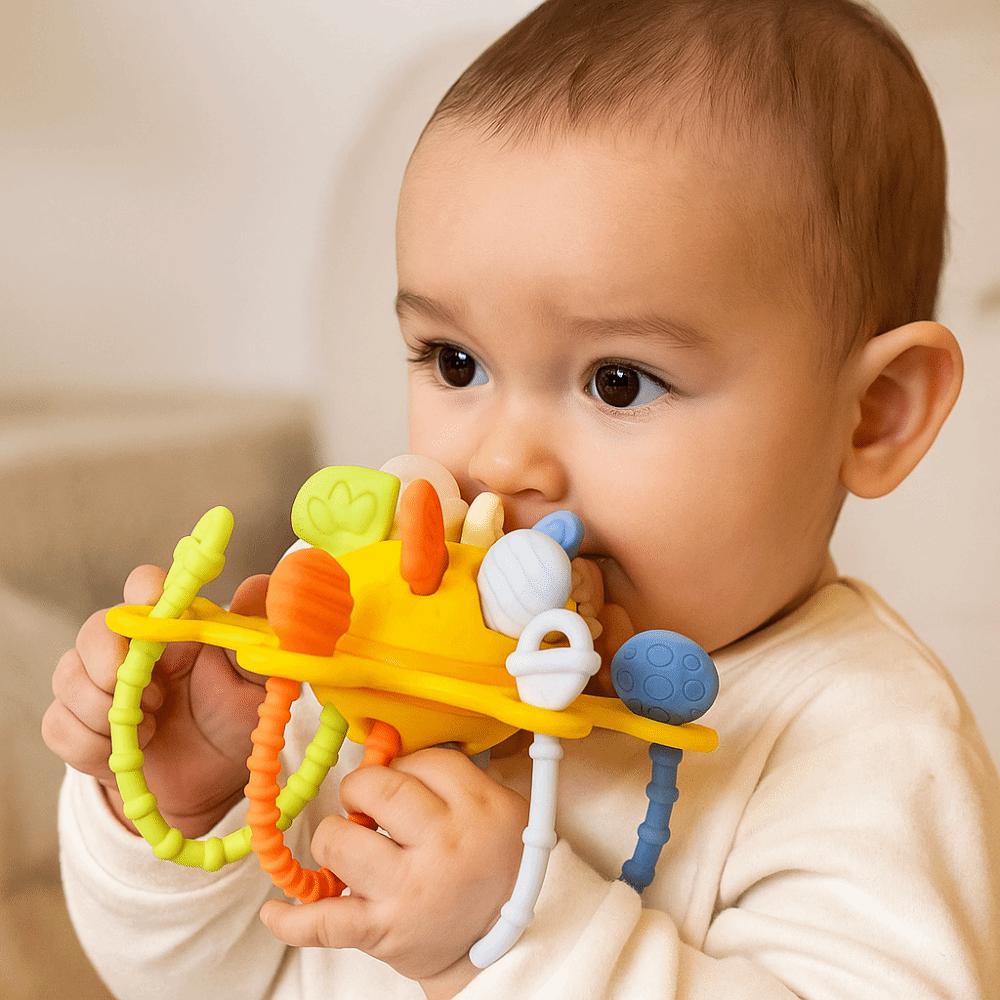Grab Ball Baby Sensory Montessori Toys PP InfantilChewable Teethers Toys  Boy Children