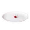 Qianxing A8 Melamine Oval Serving Plate Set