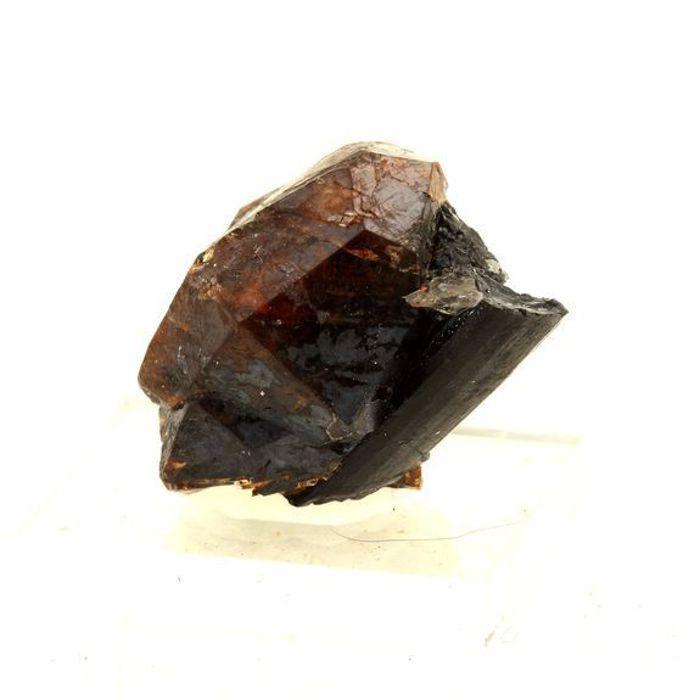 Pierres et Minéraux. Grenat + Tourmaline. 123.5 ct. Sahanivotry Manandona, Madagascar.