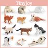 Realistisches Katzenmodell-Set PVC-Tierfiguren Kurzhaar Perser Norweger Burma Für Heimdekoration Und Sammler