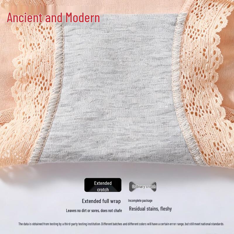GUJIN Women's Lace High-Waist Tummy Control Briefs