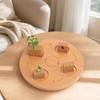 Handson-Earth Cycle Learning Toy Set Interactive Life Early