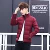 Men's Winter Stand Collar Cotton-Padded Jacket - 2021 Korean Style Trend, Thickened Down Coat.