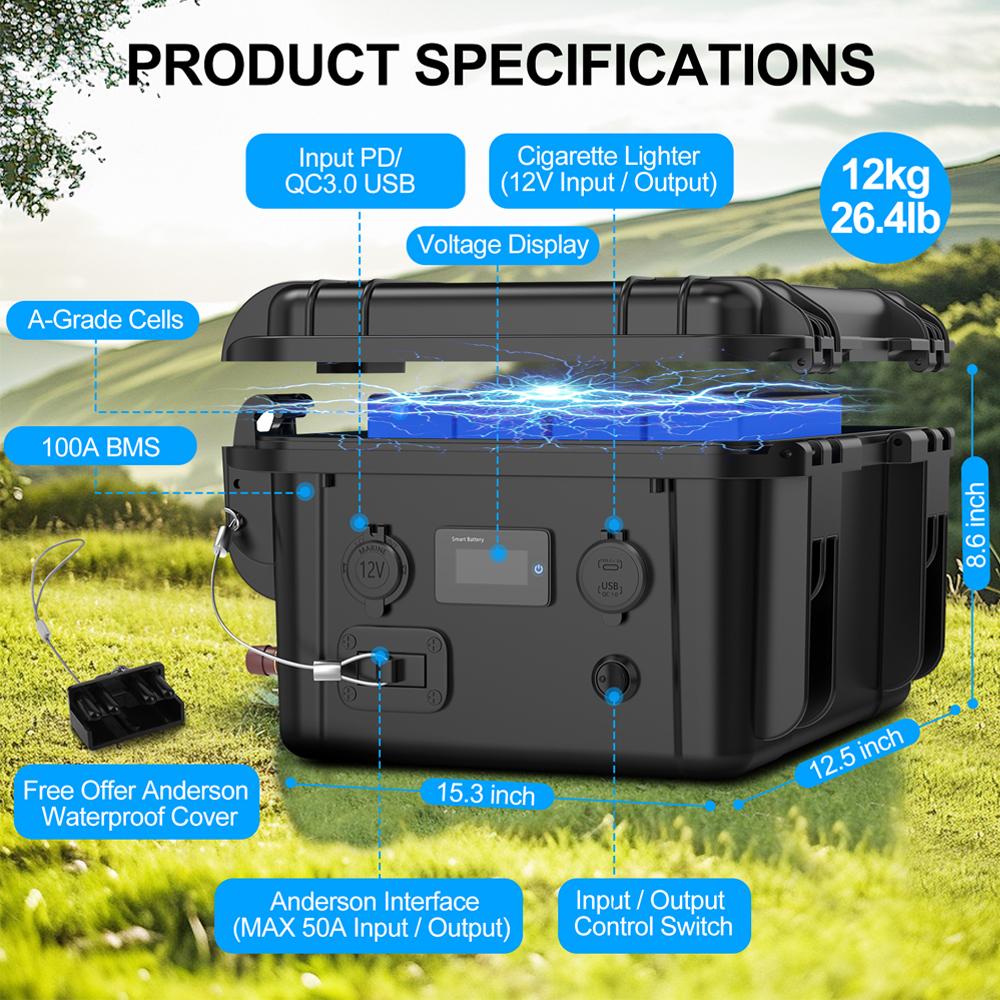 Capacity.Li 12.8V 100ah Lifepo4 Battery Rechargeable Batteries Li-ion Battery Packs with BMS for 12V Outdoor Power Supply