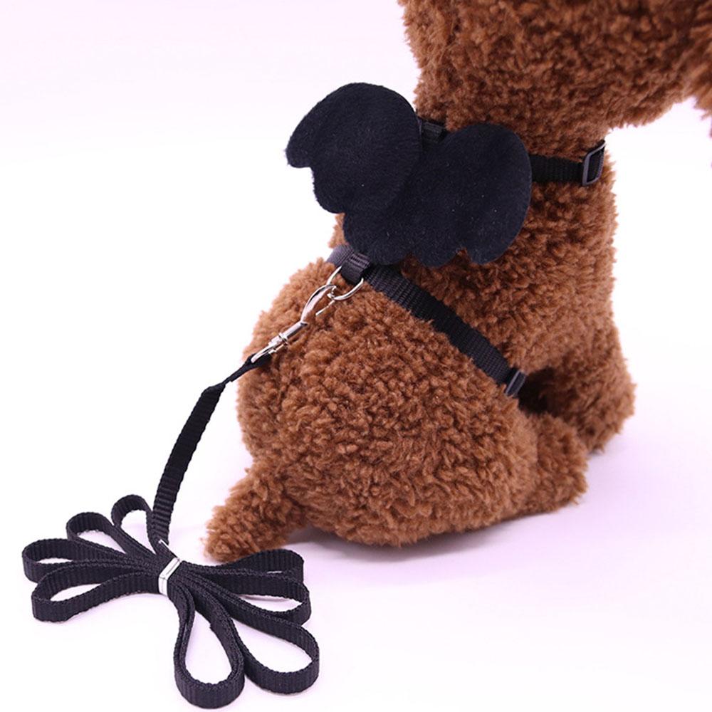 

Кошачья шлейка, шлейка для кроликов и поводок для прогулок, легкое управление с помощью троса для домашних животных, для мелких животных, щенков, котят, гусей, уток XS чёрный