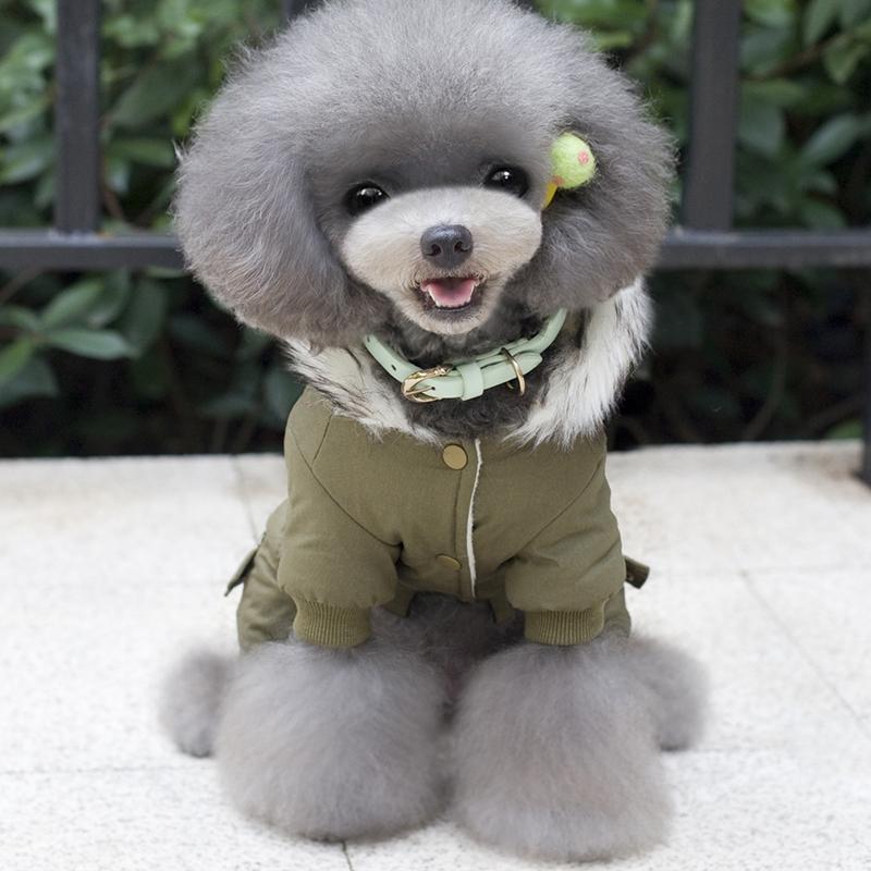 Kleidung für kleine Hunde Herbst Winter Warm Puppy Haustier Hund Mantel Jacke Mode mit Kapuze Chihuahua Yorkie Overalls Kleidung für Hunde