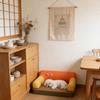 Haustierbett für drinnen Tragbar Waschbarer Bezug Niedliches Cartoon-Design Faules Sofa Hunde-Katzen-Kissen für mittlere kleine Rassen