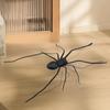 Realistic Spider 3D Spider Magnetic Decoration Flexible Legs Small Halloween Prank Toy Creepy Crawly Decor for Indoor House