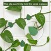 SHGO-Garden Plants Climbing Wall Support 60 PCS Plant Clips, Snap Fixtures Self-Adhesive Hooks Stickies Garden Clipping Fixer