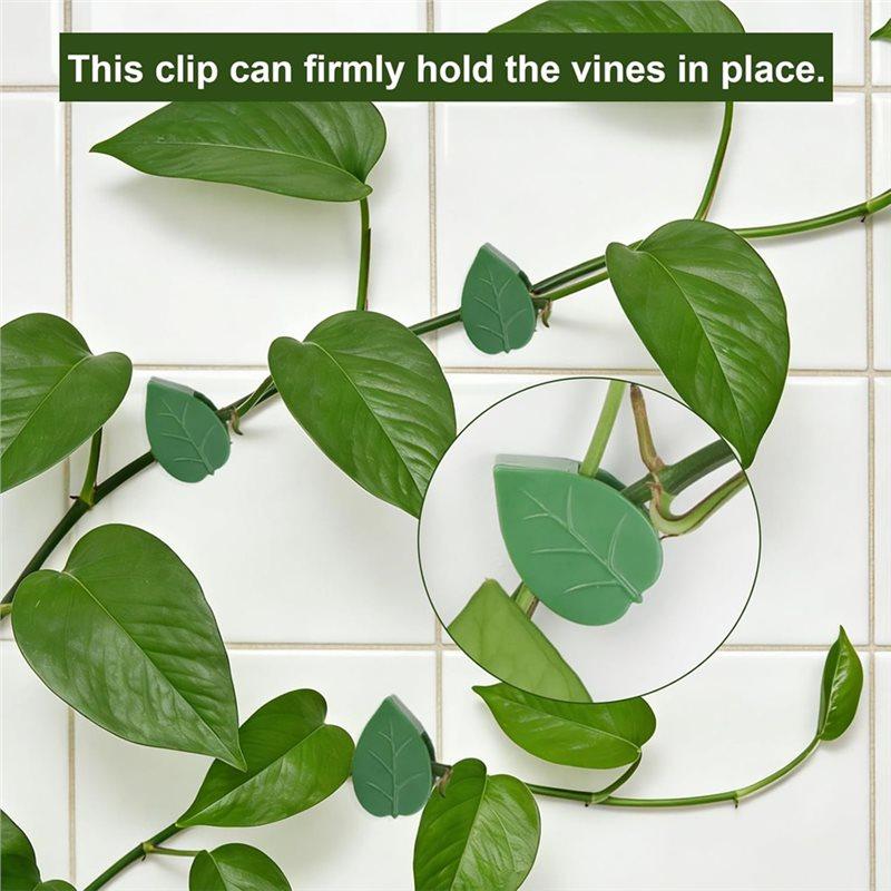 SHGO-Garden Plants Climbing Wall Support 60 PCS Plant Clips, Snap Fixtures Self-Adhesive Hooks Stickies Garden Clipping Fixer
