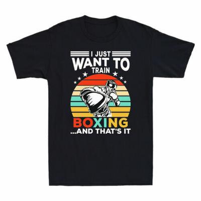 I Just Want To Train Boxing ...And That's It Funny Boxer Vintage Men's T-Shirt