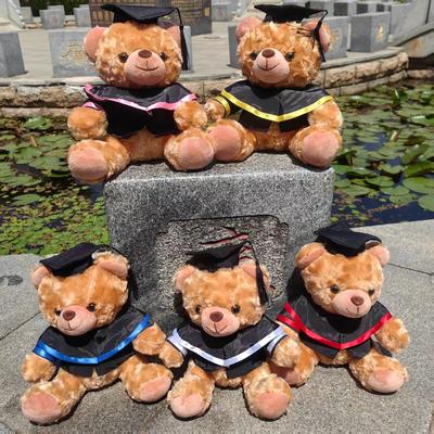 Docteur de Diplôme Jouet. Ours en Peluche Ours de Diplôme Cadeau Souvenir d'École