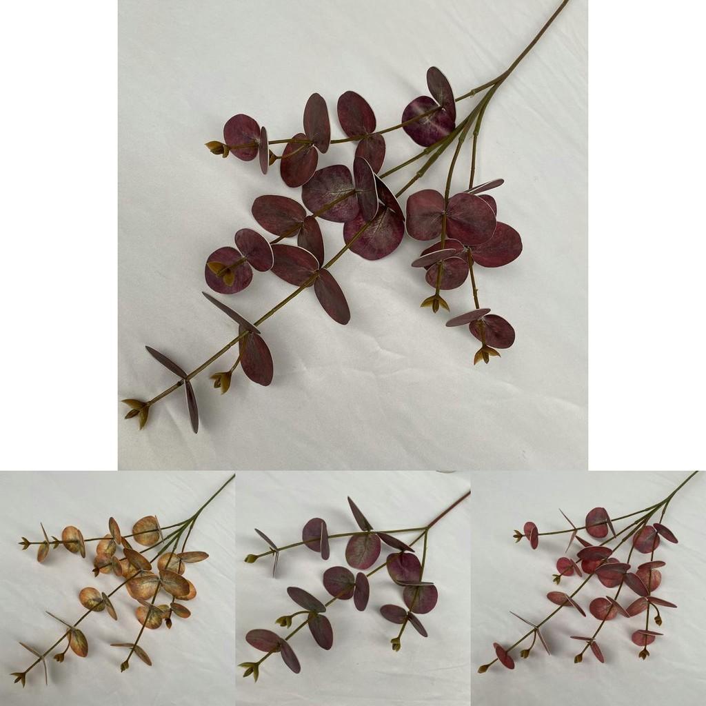 Artificial Eucalyptus Money Leaf Stems For Indoor Outdoor Decoration Photography