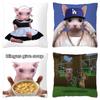 Bingus Cat Meme Pillow Case Home Decoration Funny Cushion Cover for Sofa Livingroom Throw Pillow Cover Fundas Para Cojines