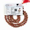 10 Mukhi Indonesian Rudraksha Mala 108+1 Beads |Spiritual Healing Necklace| Meditation Yoga Mala |Authentic Rudraksha Mala for Men & Women